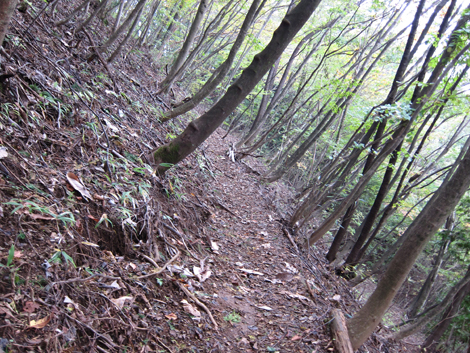 20191031hike (245)